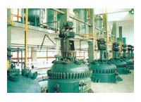 Rubber Chemicals Plant