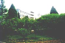 Office Building of Rough Benzene Coal Tar Unsaturated Compound Polymer