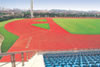 Adhesives For PU Running Track